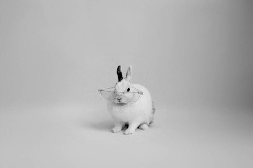 demande de documention gratuite